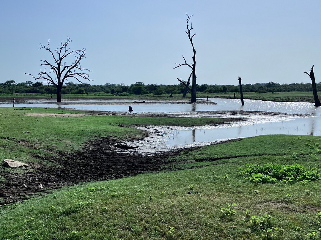 ChamiTours Hambantota-Hambantota必去景点