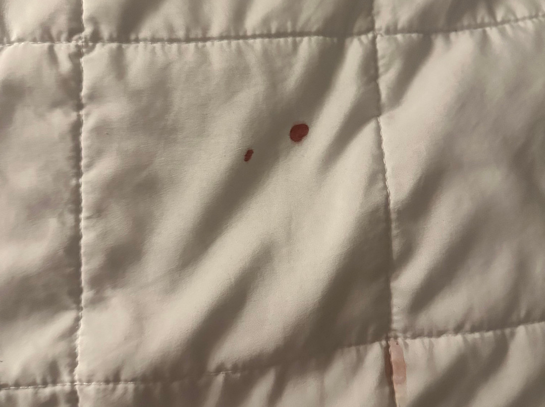 La Quinta Inn & Suites by Wyndham Mobile Satsuma / Saraland主图