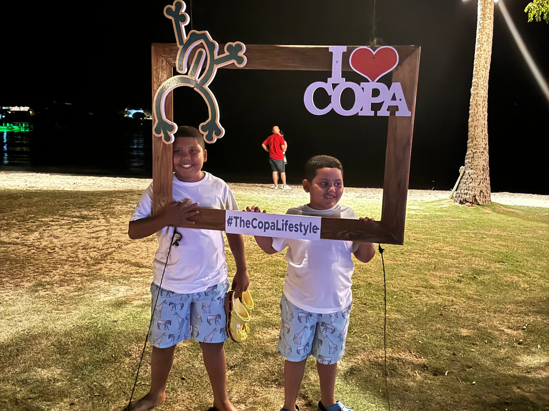 Copamarina Beach Resort & Spa主图