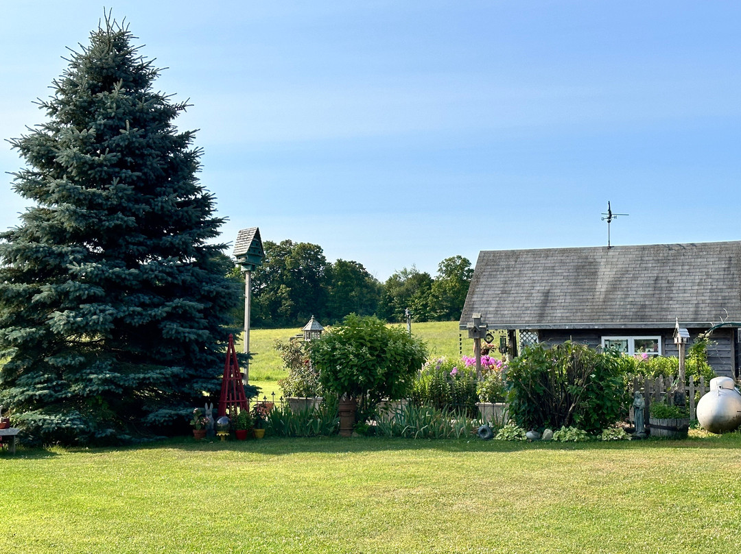 The Inn at Windmill Farm主图