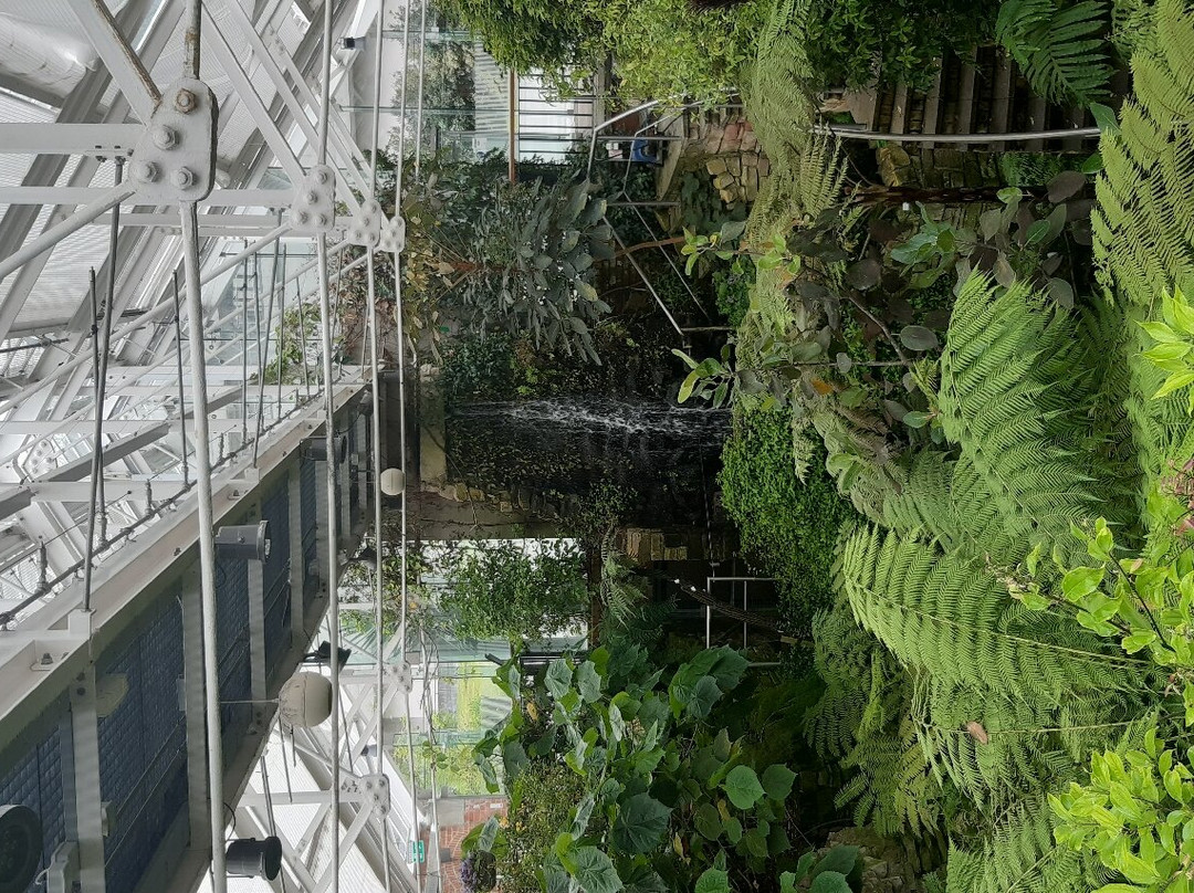 The Tropical Ravine House-贝尔法斯特必去景点