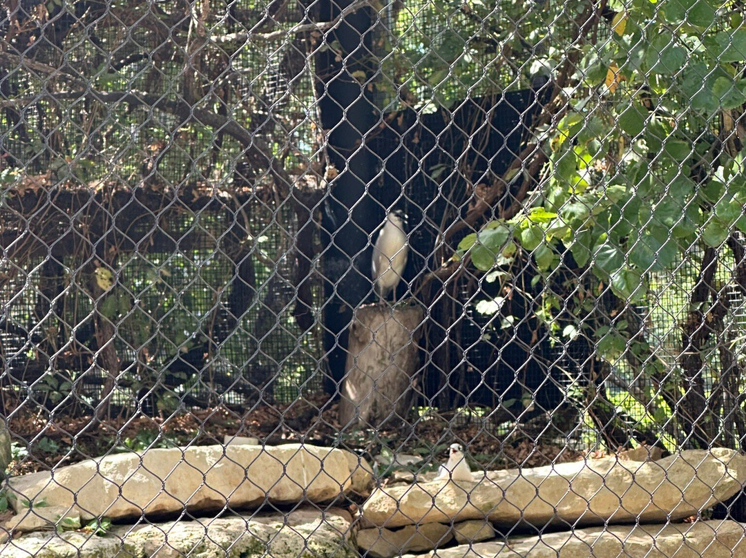 Kansas Wildlife Exhibit-威奇托必去景点
