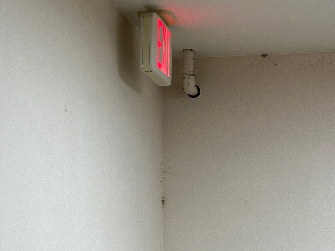 Green Mill Village Hotel & Suites, BW Signature Collection主图