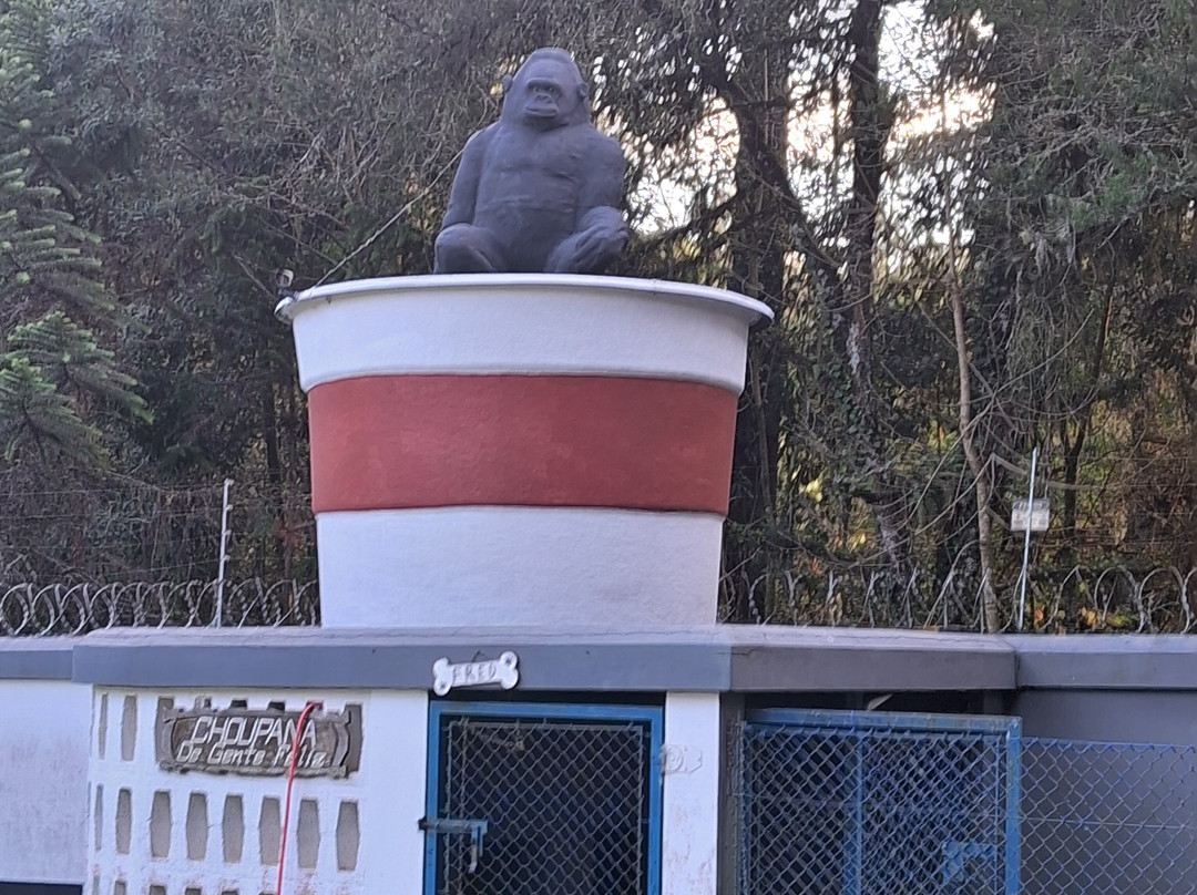 Bosque do Gato de Botas-蒙特贝尔德必去景点