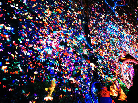 The Butterfly Trail-伦敦必去景点