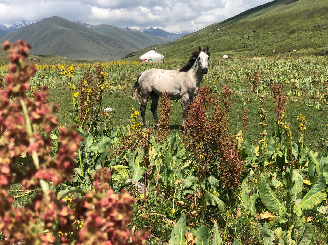 Trevelor-比斯凯克必去景点