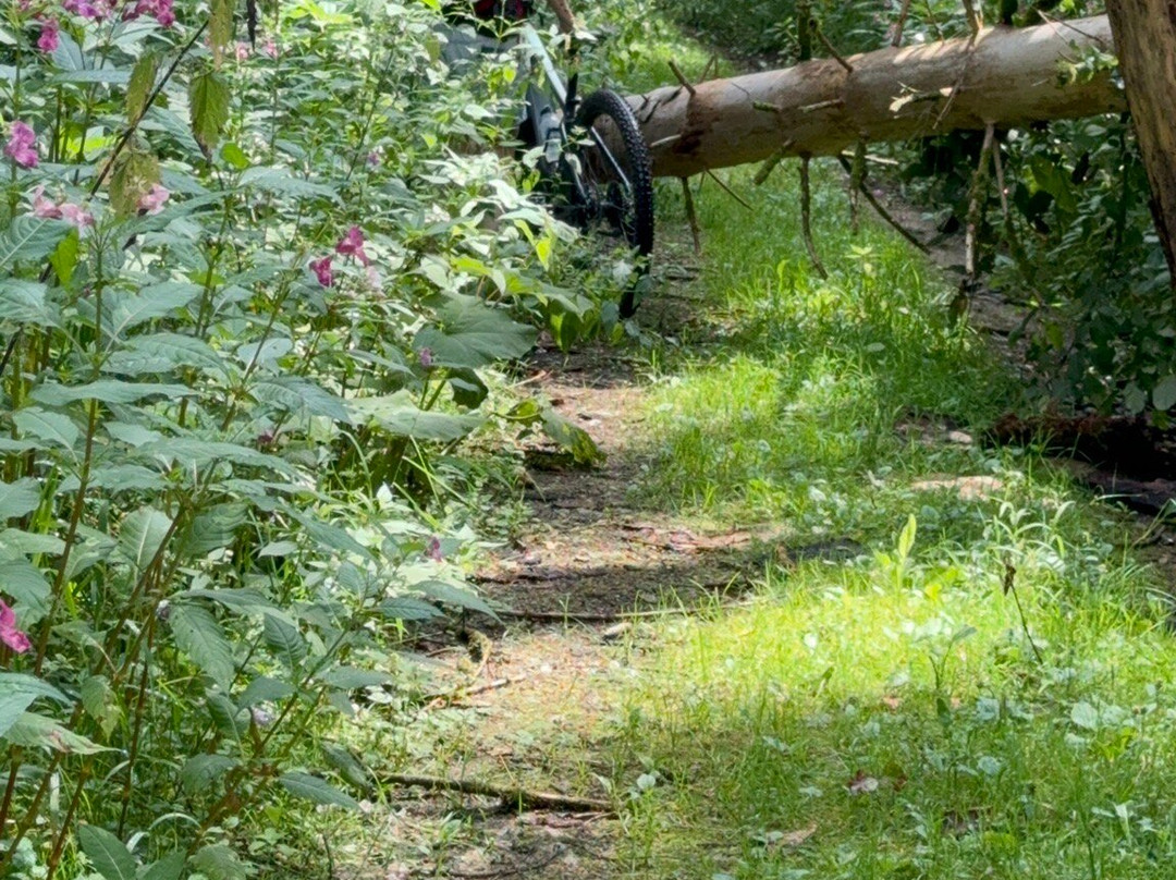 Fietsverhuur Neeroeteren景点图片
