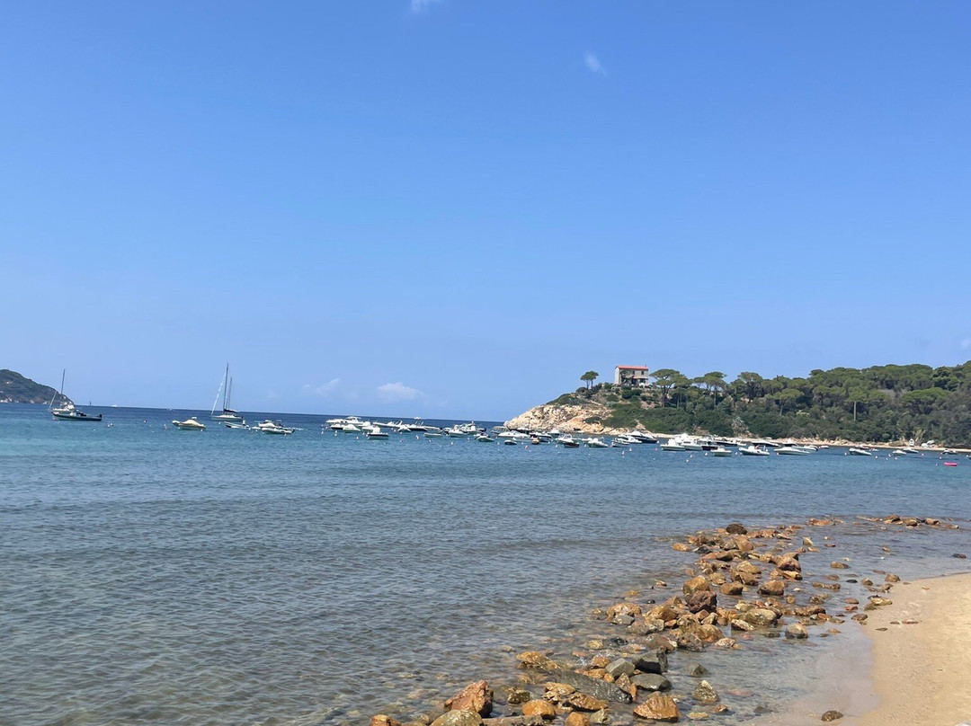 Procchio Beach景点图片