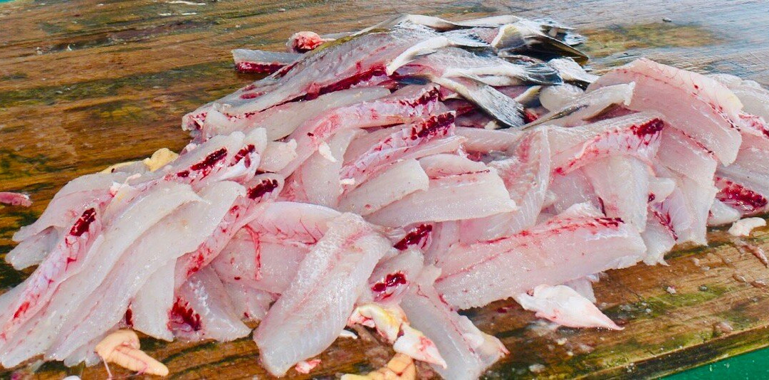 New Orleans Style Fishing Charters景点图片