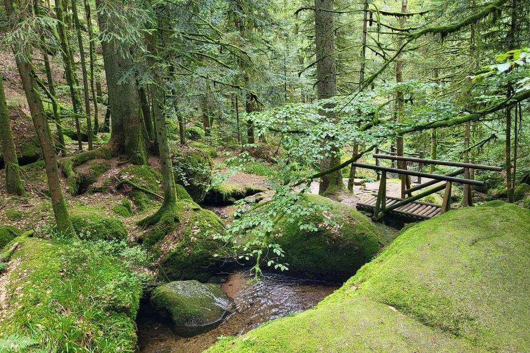 Gertelbach-Wasserfälle-Buehlertal必去景点