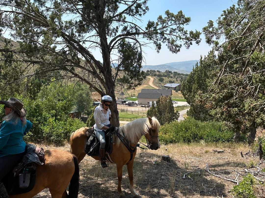 Wind in your Hair Riding-Wanship必去景点