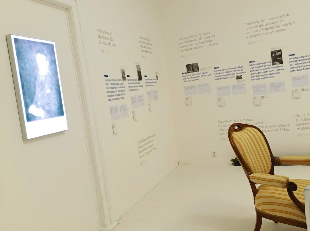 Stara Radnice & Muzeum Prostejovska景点图片