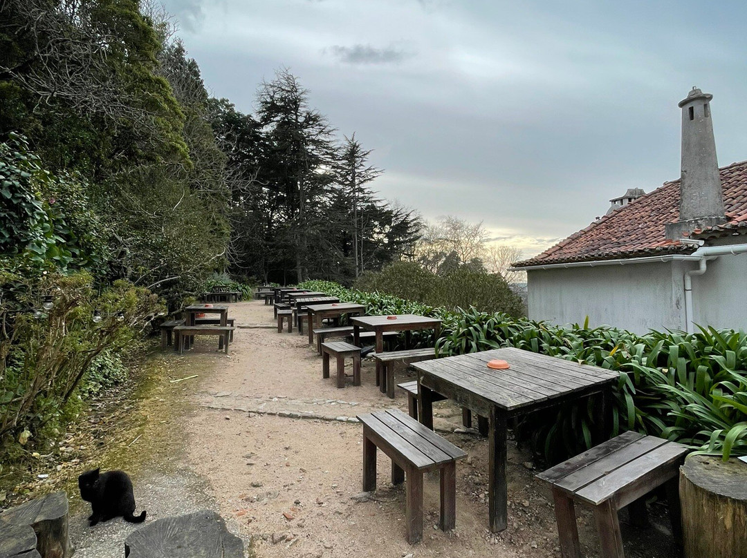 Pub Medieval Casa do Fauno景点图片