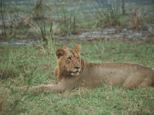 Primates Adventure-DMC-Ruhengeri必去景点