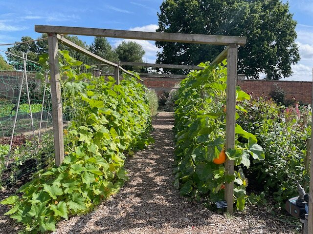 Water Lane Walled Garden