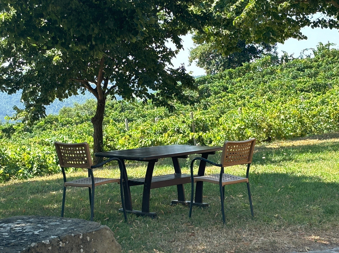Tenuta di Biscina主图