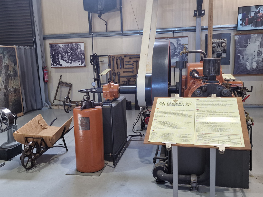 Omalia Olive Press-马利亚必去景点