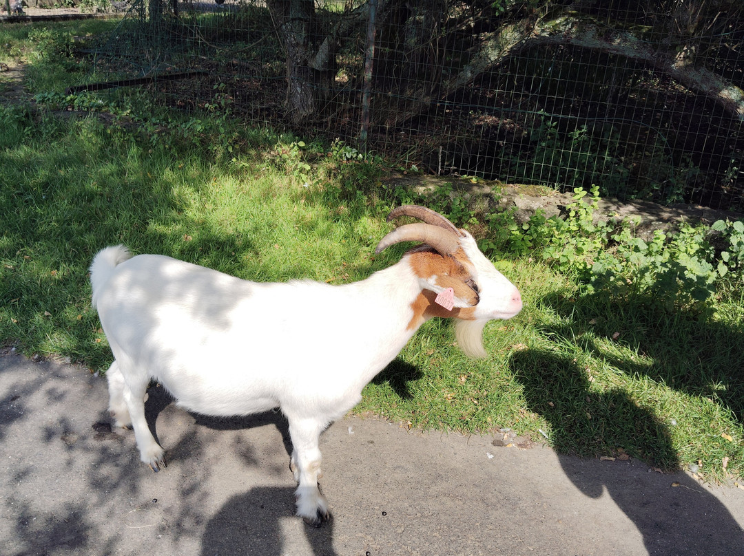 La Pommeraie-Peumerit必去景点