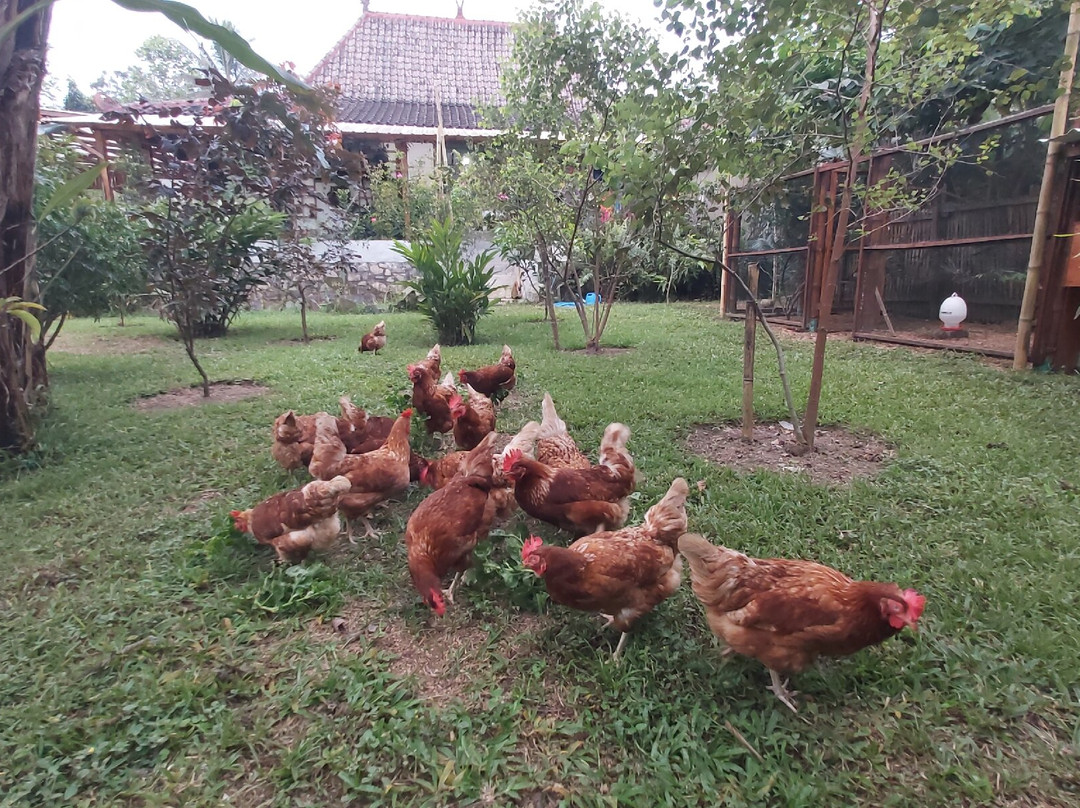 Tetebatu Tourist Village-Tetebatu必去景点