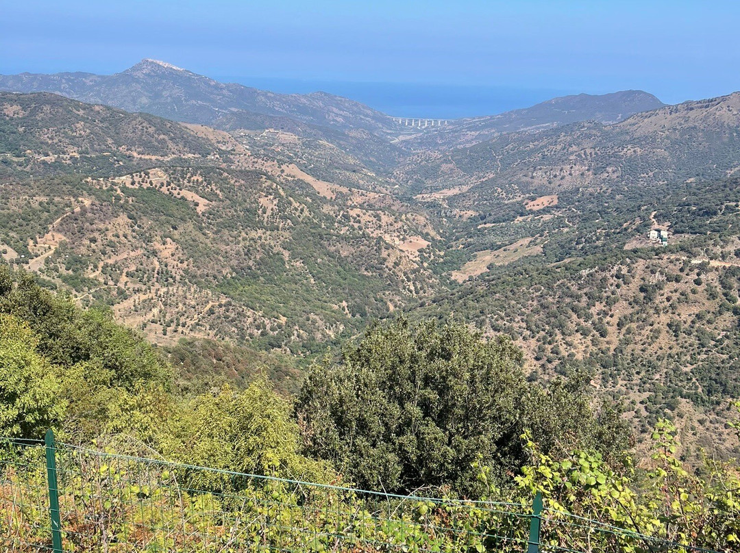 Zipline Sicilia A San Mauro Castelverde景点图片