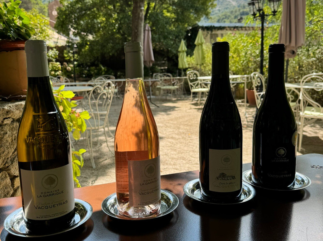 Wine Uncovered景点图片