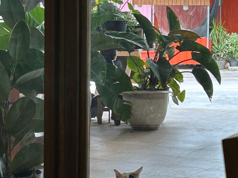 MYL coffee & eatery主图