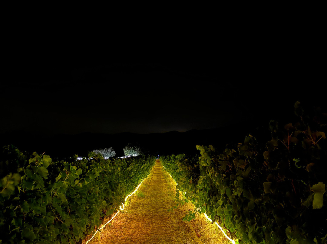 Domaine de la Bouvaude景点图片