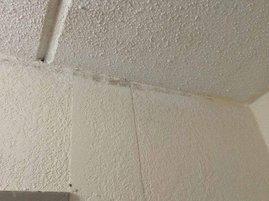 Days Inn by Wyndham Seneca / Clemson Area主图