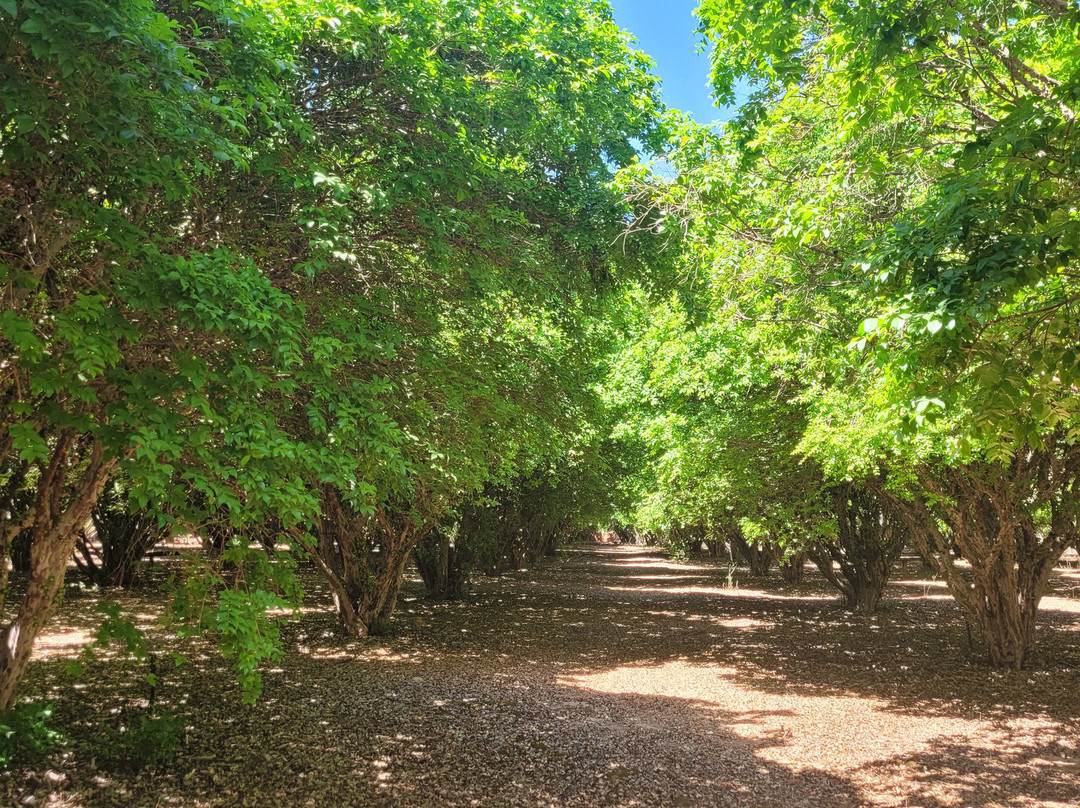 Vinicola Jabuticabal-Hidrolandia必去景点