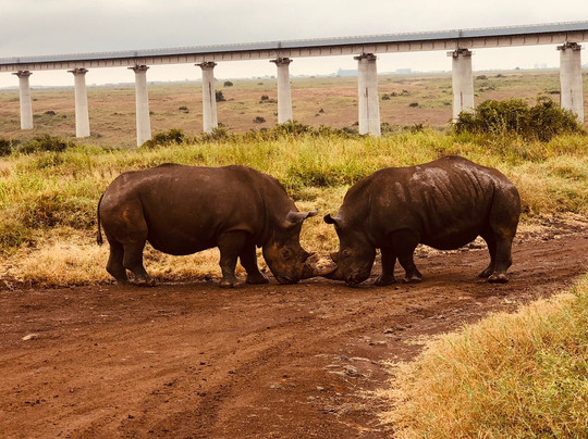 Kenya Tru Nomads-蒙巴萨必去景点