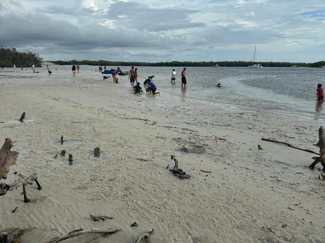 Dog Beach-迈尔斯堡海滩必去景点