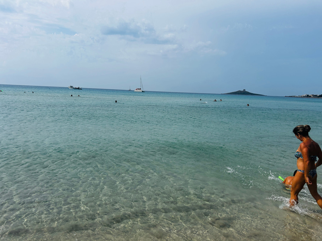 La Casetta sul Mare主图