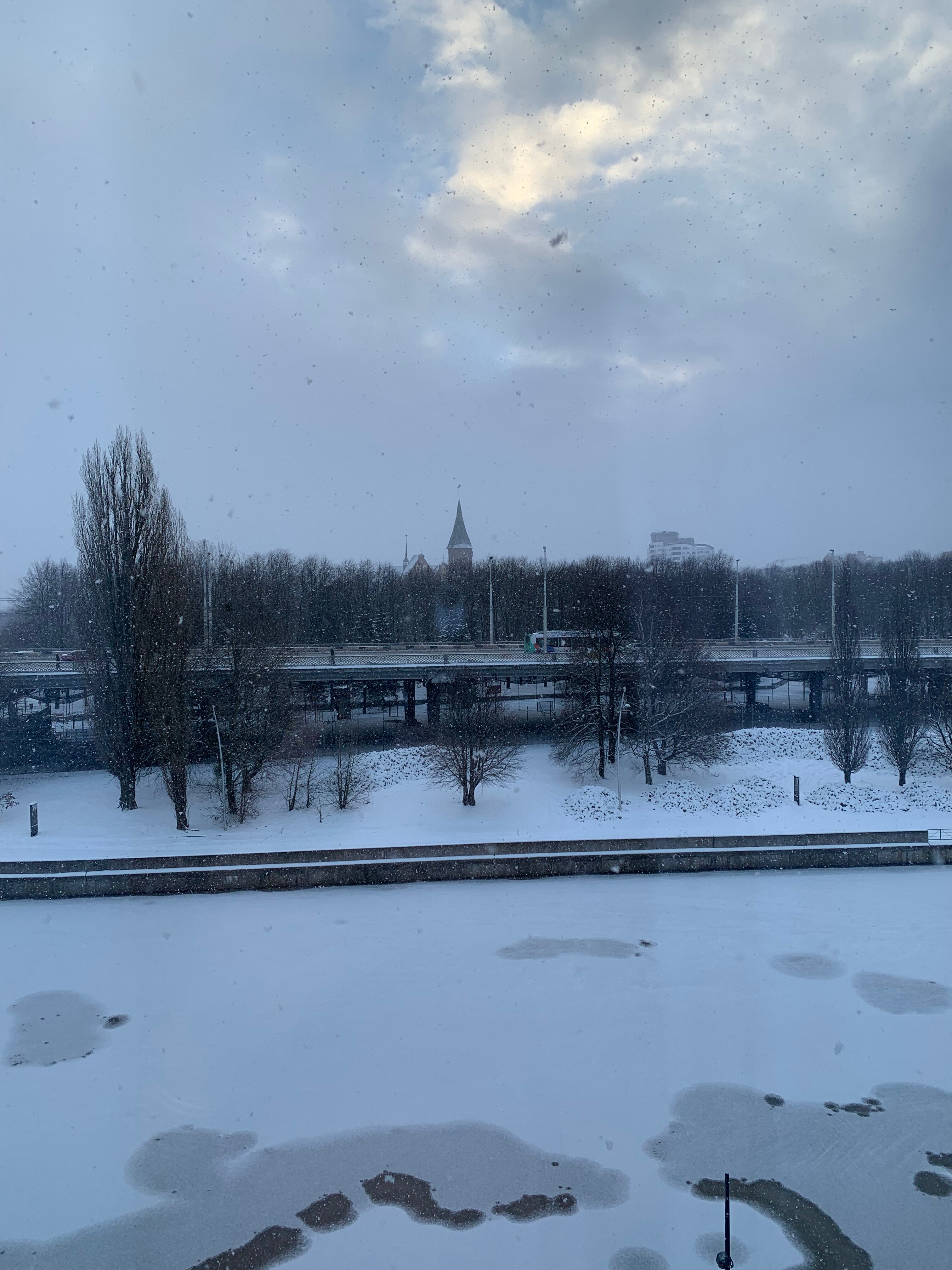 Holiday Inn Kaliningrad-酒店景观