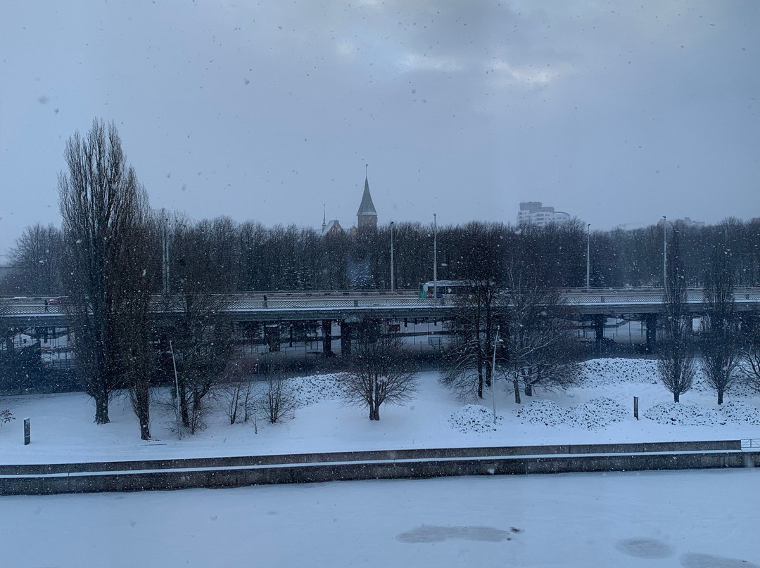 Holiday Inn Kaliningrad主图