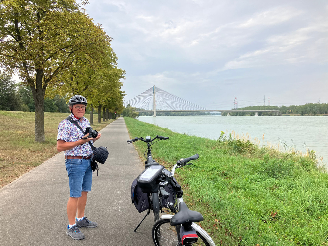 Bauernhof Wolf-Hof主图