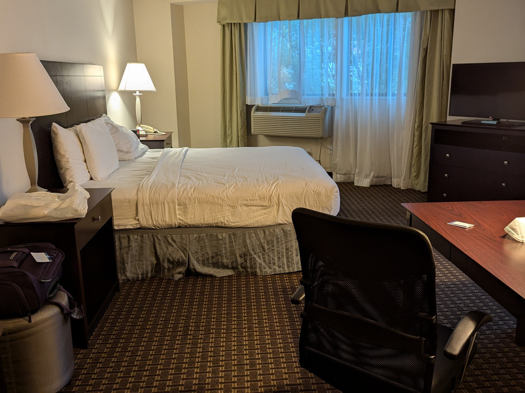 Best Western Plus Philadelphia Airport South At Widener University主图