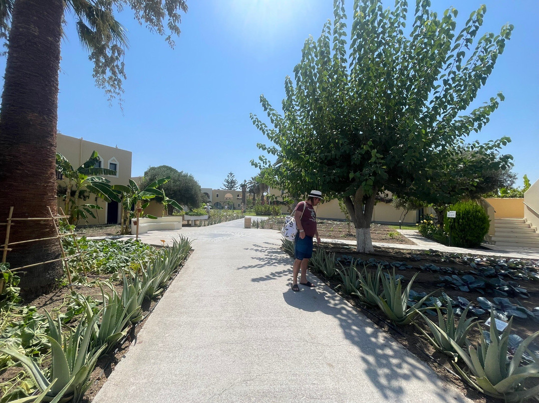 Grecotel Casa Paradiso主图