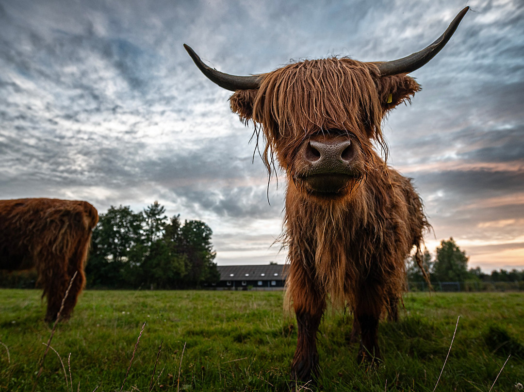 De Heidebloem Recreatie