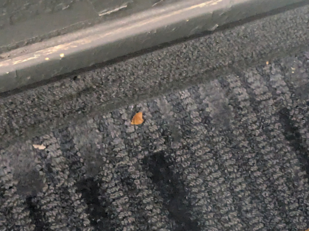 Baymont by Wyndham Lancaster主图