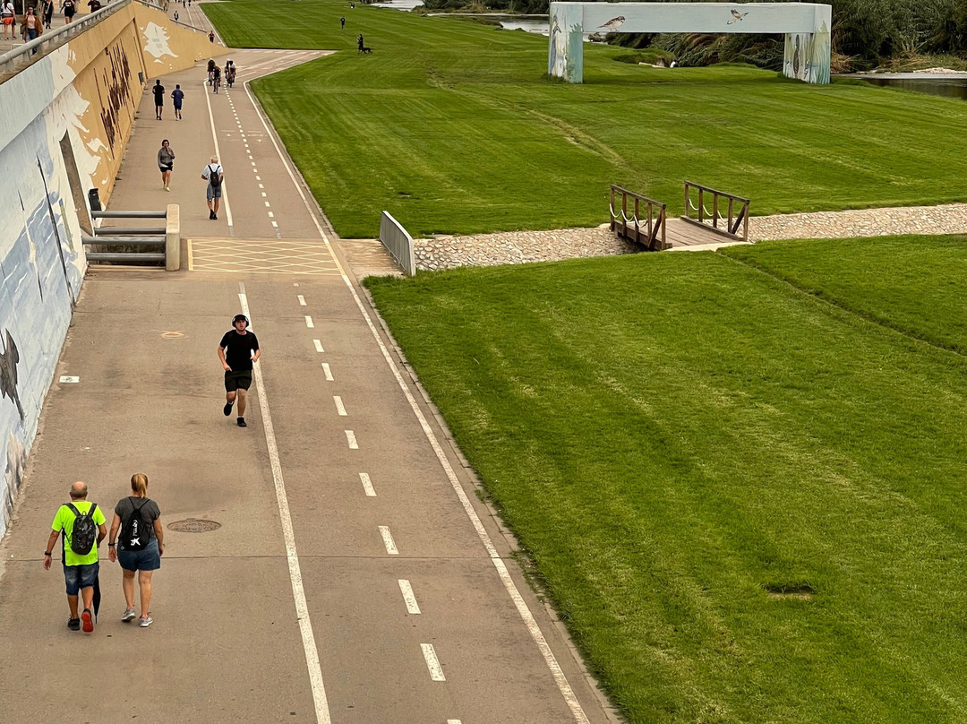 Parque Fluvial del Besos-Montcada i Reixac必去景点