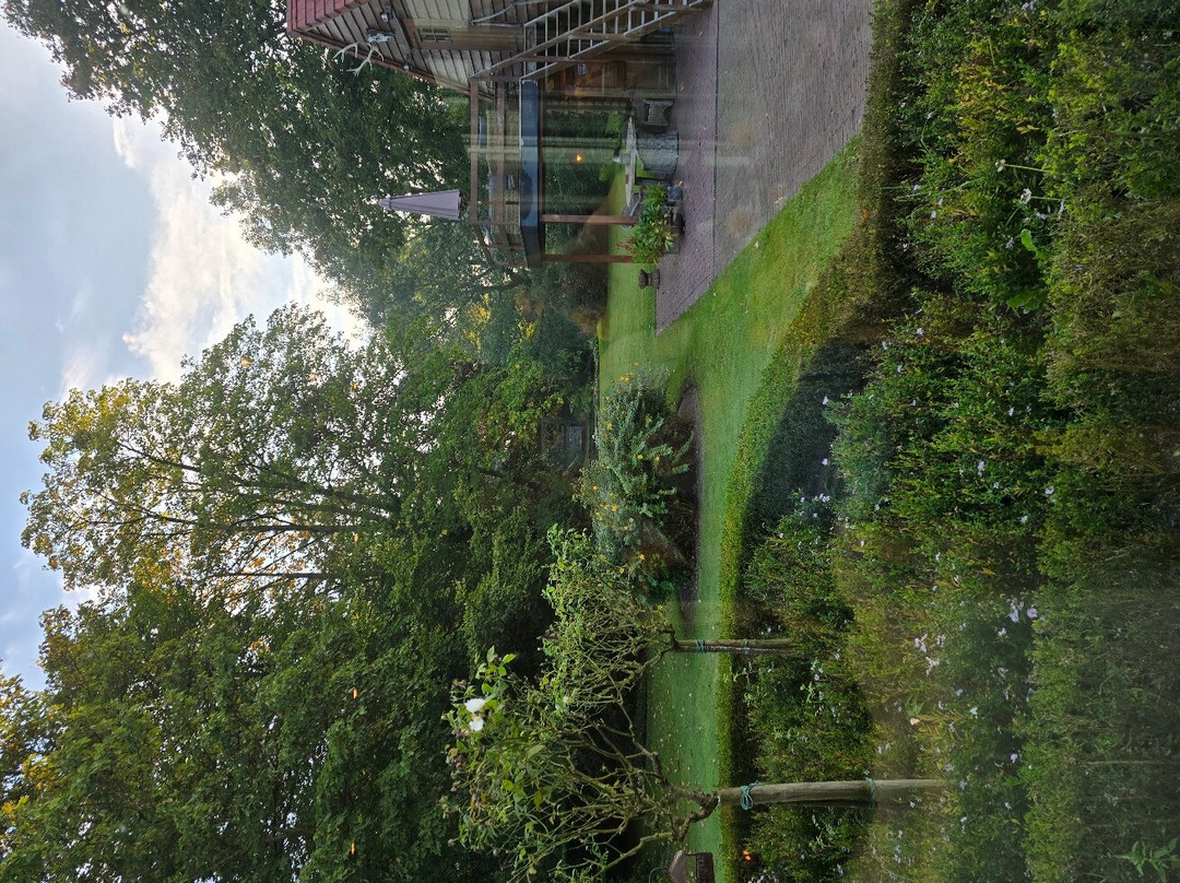 Villa Magdalena主图