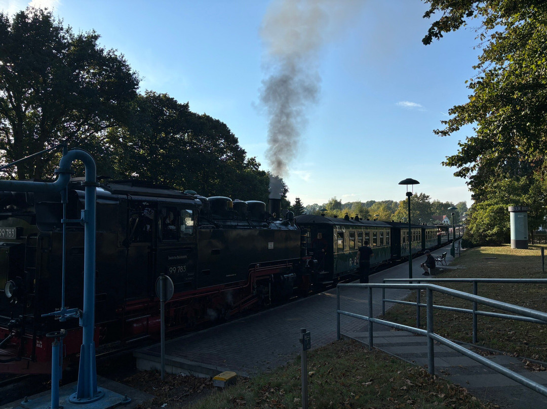 BinzHotel Landhaus Waechter主图