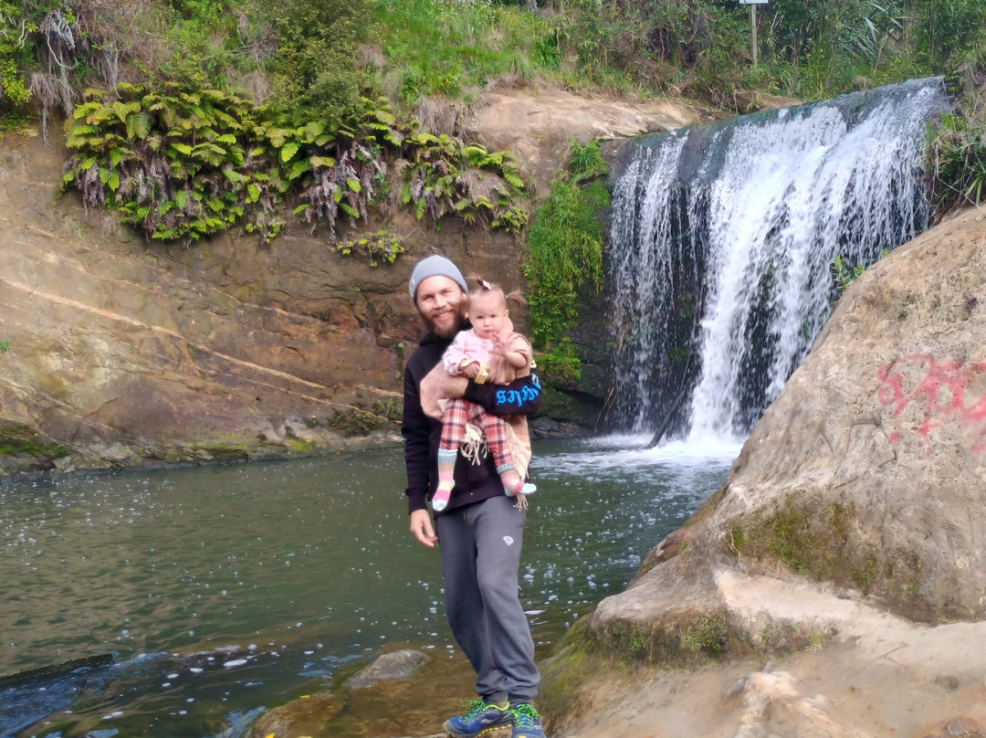 Oakley Creek Walkway-奥克兰中心地区必去景点