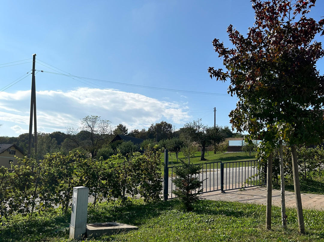 Vinska Kuća Hažić景点图片