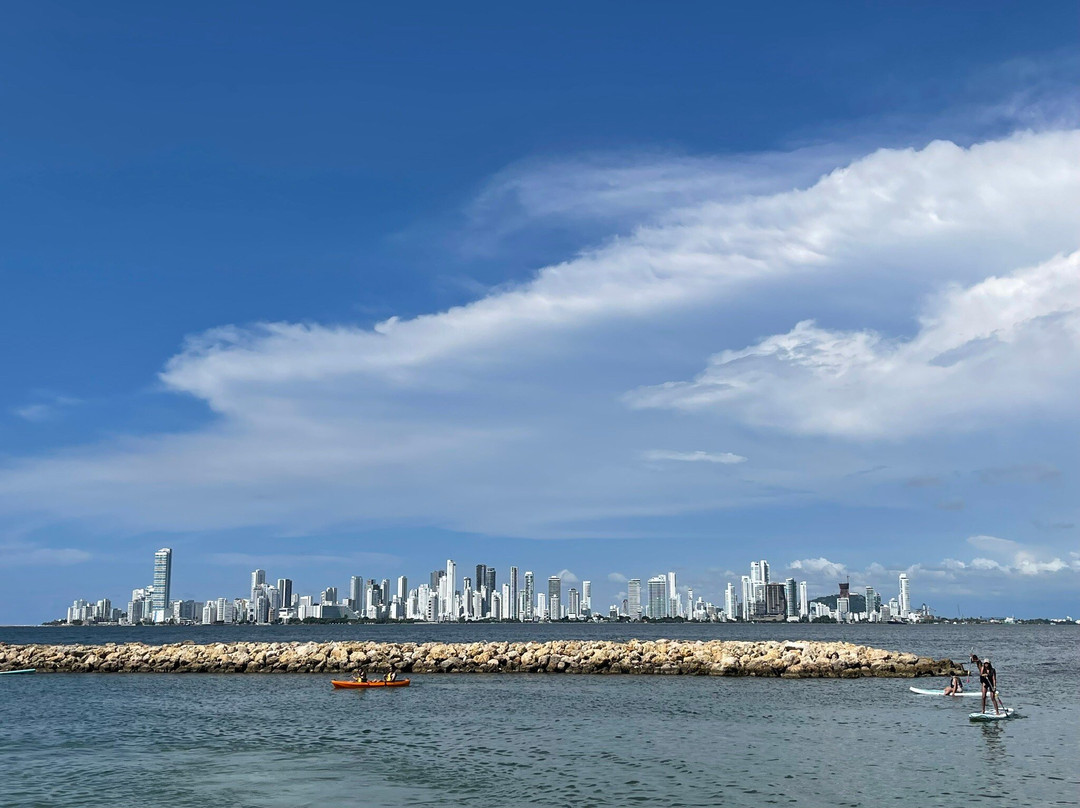 Bien Fresh Tours & Experiencias