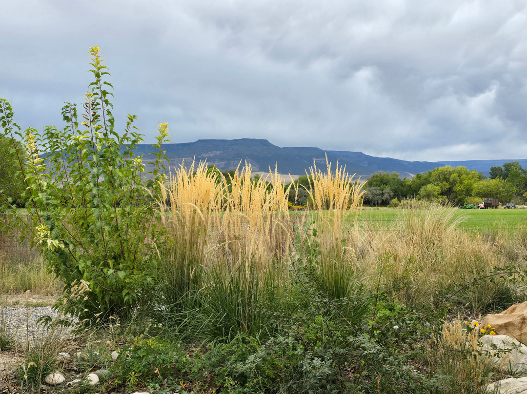 TWP Winery And Farm House-Clifton必去景点