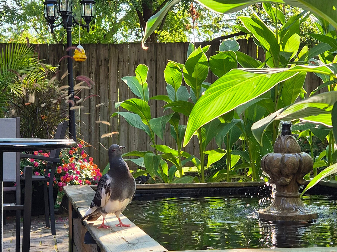 The Woodview Inn主图