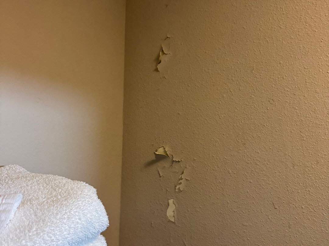 Best Western Oak Meadows Inn主图