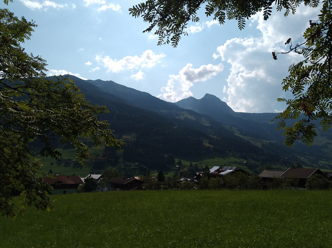 Bauernhofurlaub Am Lothringerhof