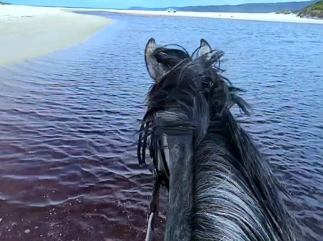 Muttonbird Beach and Shelter Island-奥尔巴尼必去景点